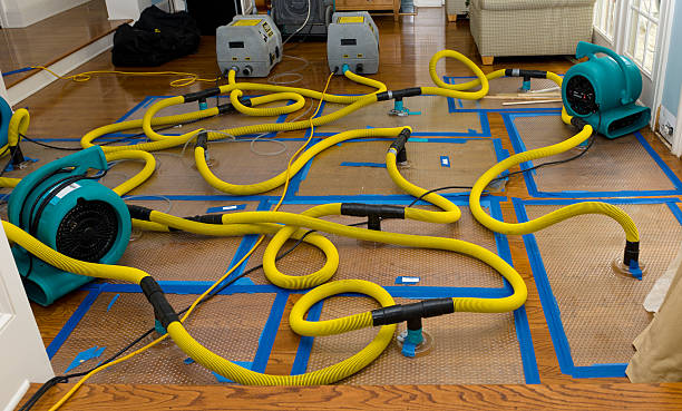 Professional Basement Flood Cleanup technician working in Fair Haven, NY